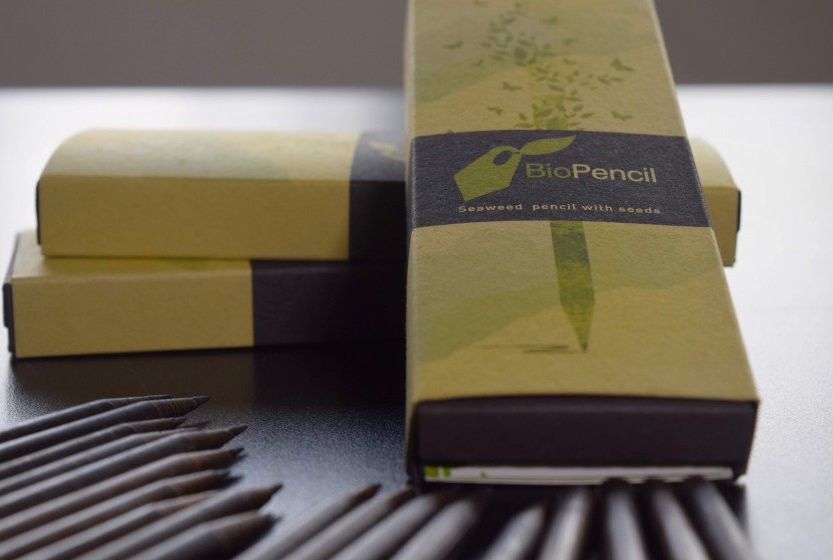 BioPencil's tweet photo. Ayuda al planeta comprando productos ecológicos como lo es BioPencil. ♥️
Precio Individual: 0,61 Euros 
Precio pack de 3: 2,07 Euros https://t.co/Qqqy1LKZhw