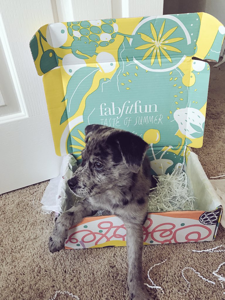 L_Beauty13's tweet photo. Harlow and I loved the @FabFitFun summer box! ☀️ https://t.co/iioI3jjjVI
