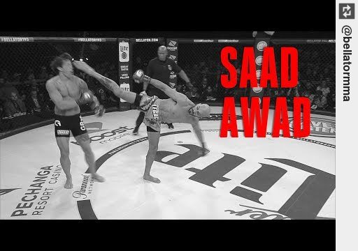 AzelleMMA's tweet photo. Come see #Bellator201 Best Of - #SaadAwad https://t.co/VgptIU3wt0 #Bellator #mma https://t.co/6dgr2ALQgQ