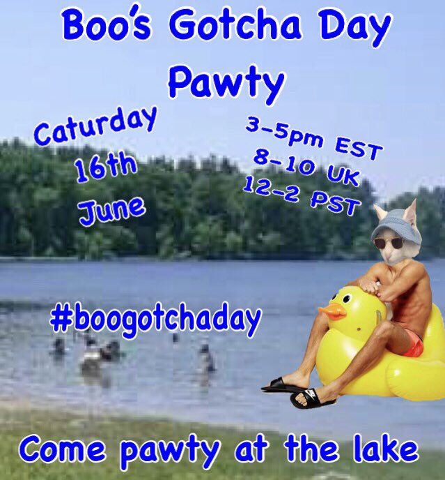 BooTheDeafKitty's tweet photo. We will be raffling off one of these great bracelets during the party! #boogotchaday #pawty #anipals #cats #kitties #boothedeafkitty https://t.co/ilnok5Wzif