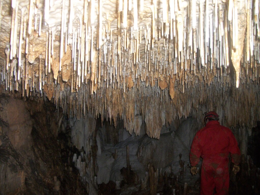 MoCavesandKarst's tweet photo. Over 2 years w/ numerous setbacks, but happy to report Kieswetter Cave, as of today finally belongs to MCKC! The previous owner wanted to ensure after his passing, the cave would be preserved. Well done and MCKC adds another #cave property to our ever growing list. #conservation https://t.co/5zTk4oMVMZ