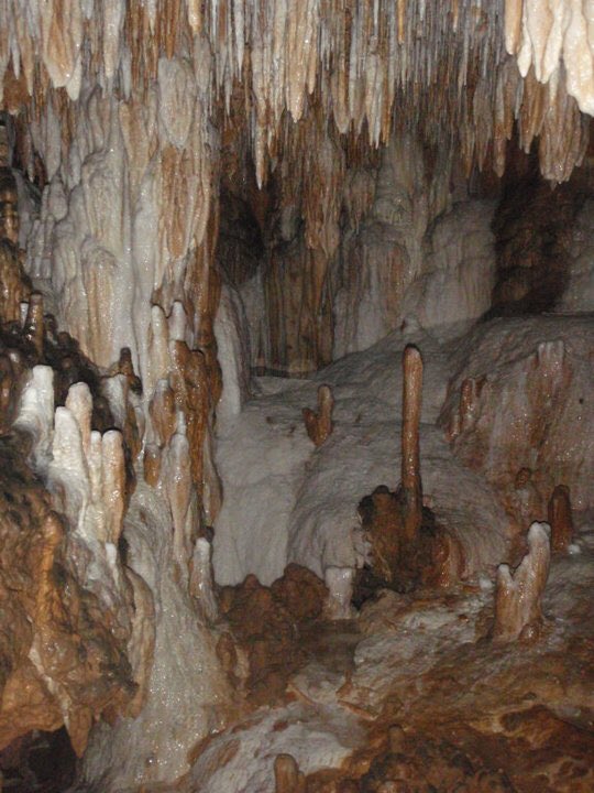 MoCavesandKarst's tweet photo. Over 2 years w/ numerous setbacks, but happy to report Kieswetter Cave, as of today finally belongs to MCKC! The previous owner wanted to ensure after his passing, the cave would be preserved. Well done and MCKC adds another #cave property to our ever growing list. #conservation https://t.co/5zTk4oMVMZ