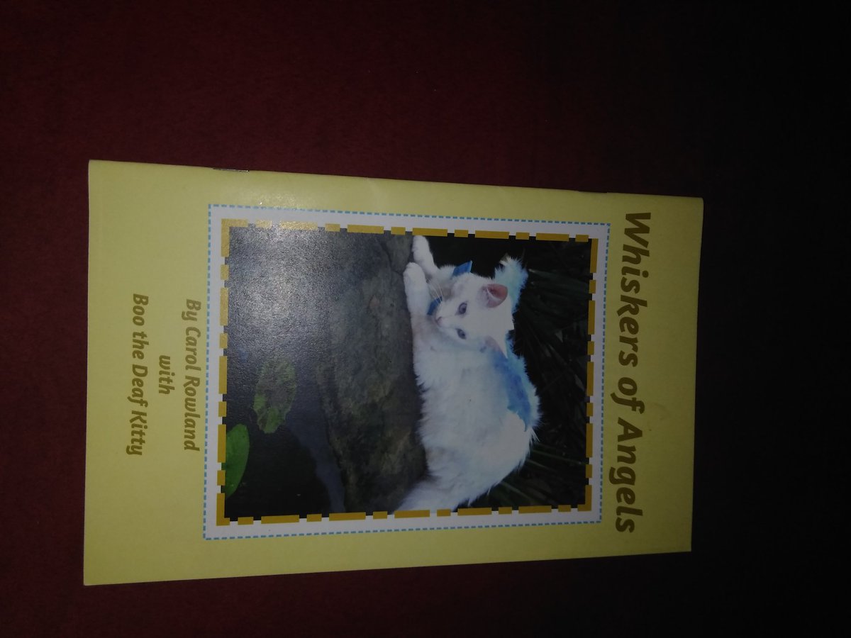 BooTheDeafKitty's tweet photo. We will be raffling off Boo books during the party!
An angel poem book for all ages and a children's nap time book
#boogotchaday #pawty #anipals #cats #kitties #boothedeafkitty #twitterpawty https://t.co/xDGPNPdKm0