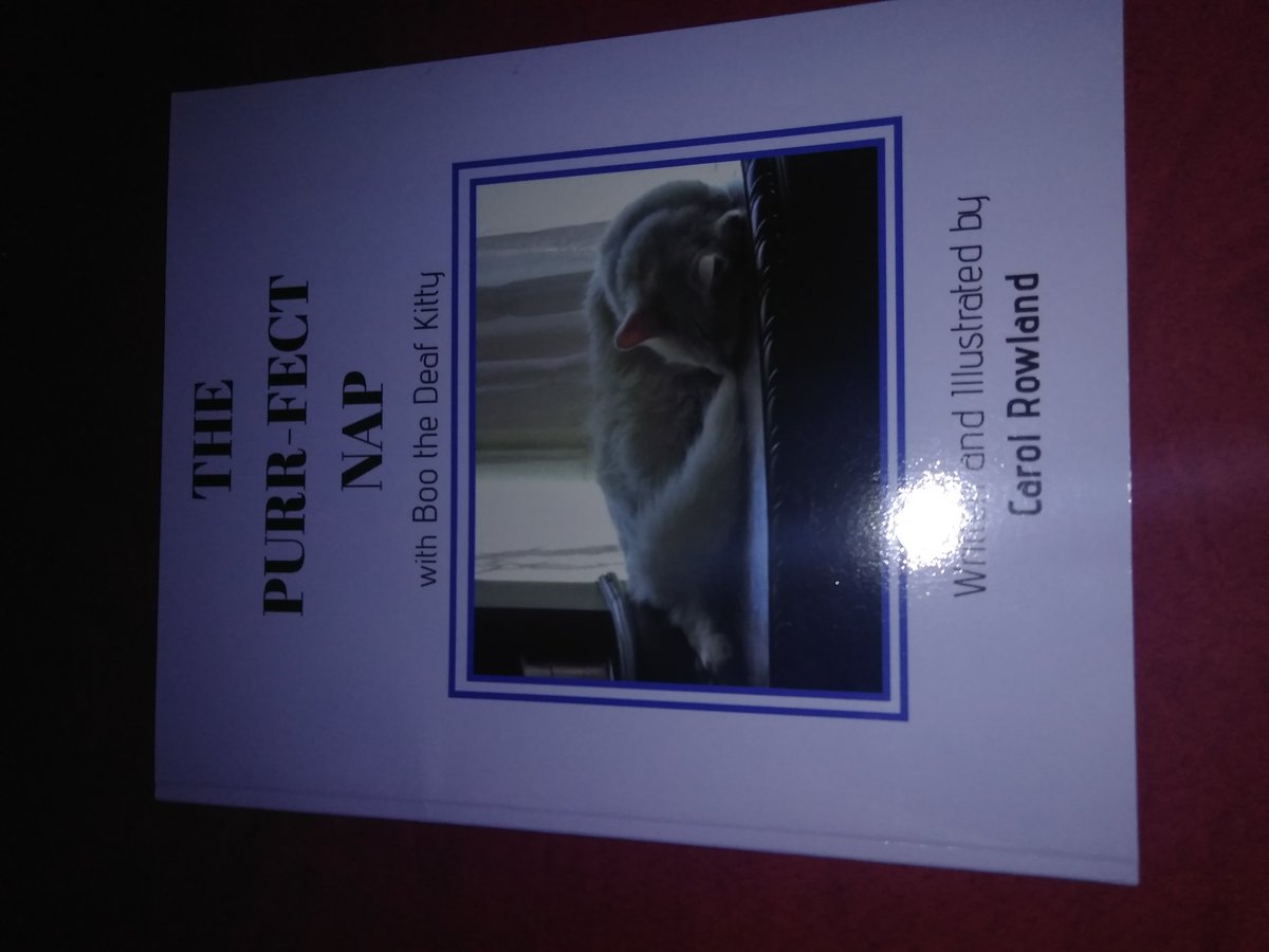 BooTheDeafKitty's tweet photo. We will be raffling off Boo books during the party!
An angel poem book for all ages and a children's nap time book
#boogotchaday #pawty #anipals #cats #kitties #boothedeafkitty #twitterpawty https://t.co/xDGPNPdKm0