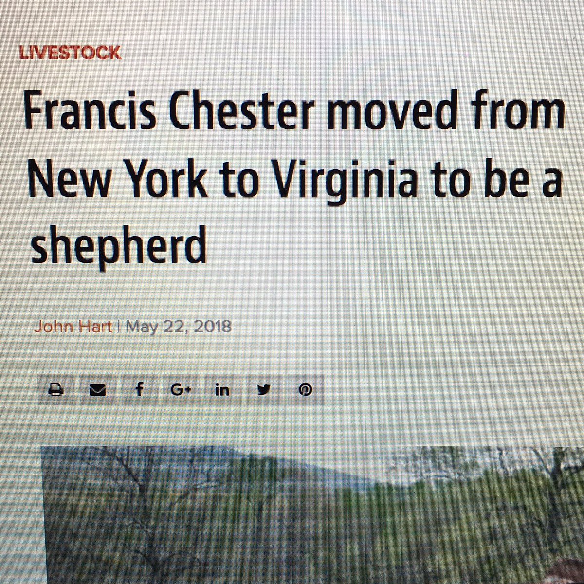 CestariWool's tweet photo. Cestari in the News! See the article at https://t.co/MCvo6PdPco South East Farm Press in the Livestock section! #livestock #virginiashepherd #woollove #yarnmaker #supportlocal #americanmade https://t.co/mfIsmXLTdw