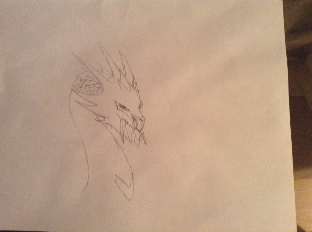 ARandomGuy777's tweet photo. Sorry people I been inactive cause of school and shit but I drew this dragon it's unfinished put what do you guys think for my first drawing or attempt at a dragon :P https://t.co/jPVvz1Kvfd