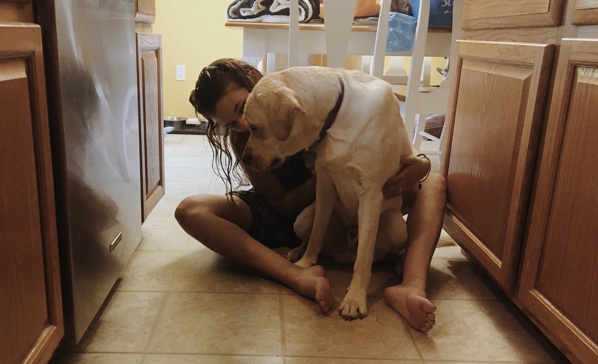 soflynn16's tweet image. cute little puppy transforms into small horse in just 10 months!! if this doesn’t make you wanna cry ur probably not human