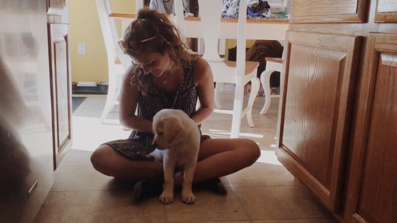 soflynn16's tweet image. cute little puppy transforms into small horse in just 10 months!! if this doesn’t make you wanna cry ur probably not human