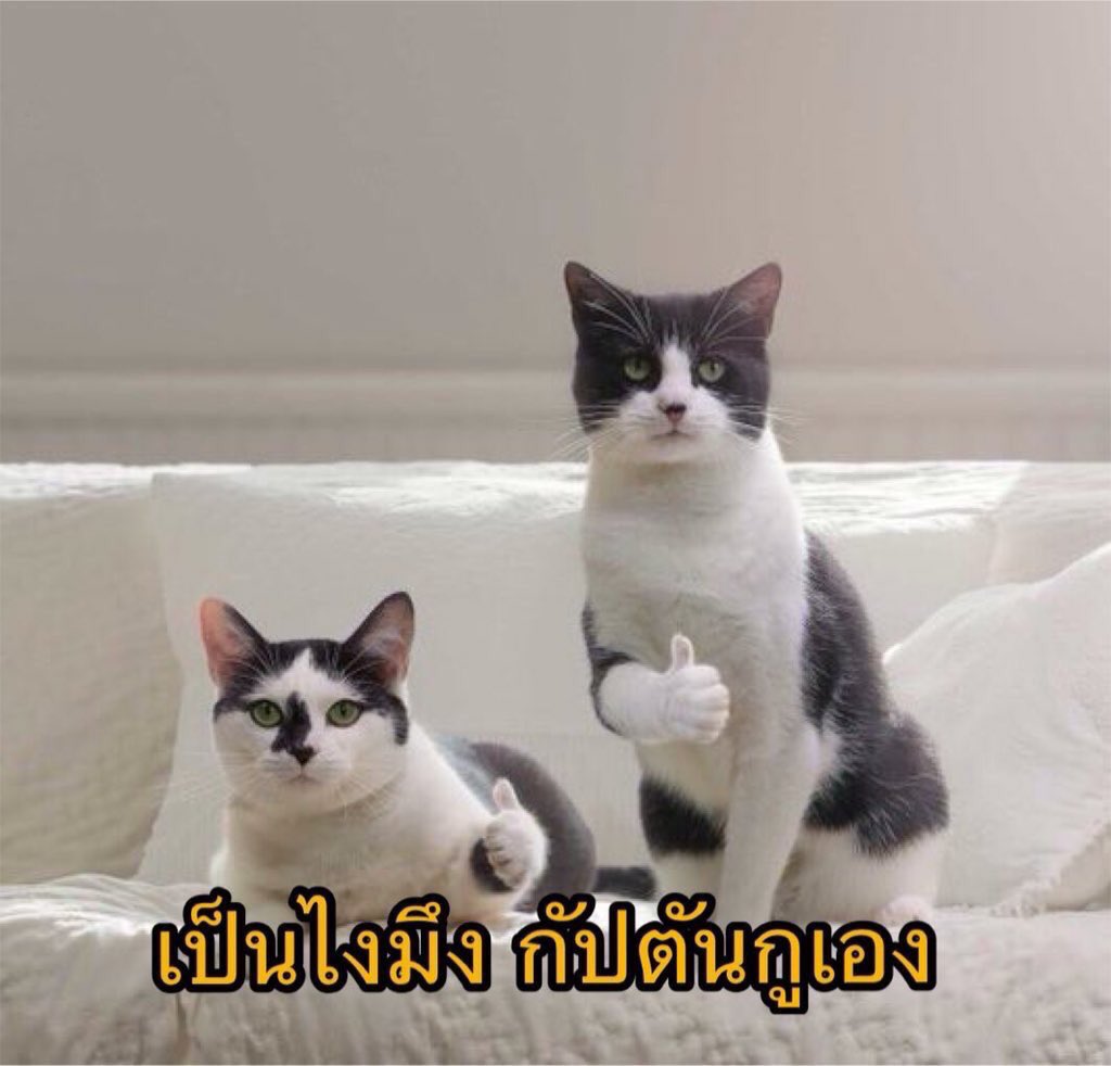 วันนี้แทยอนไปแอลเอแล้วหรือยัง tweet media