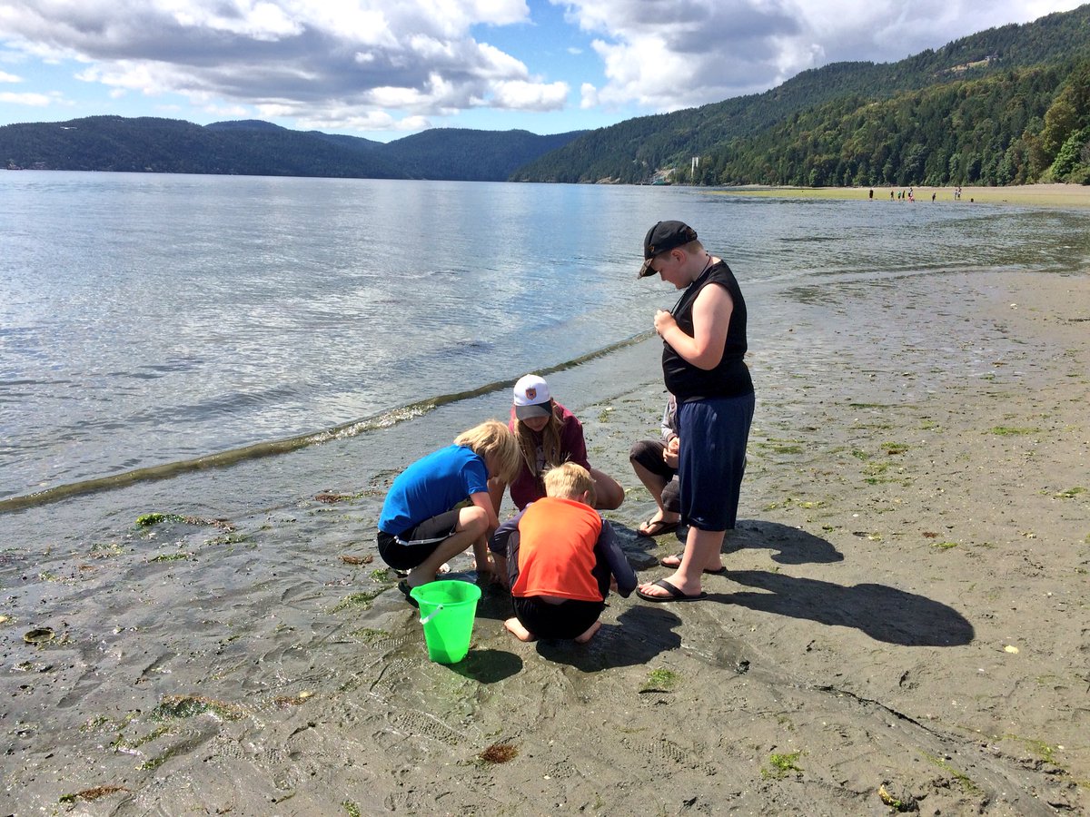 AlexKellar94's tweet photo. Student quote of the day “I thought this field trip would be boring, but then I saw a pregnant crab and watched it have little baby crabs and that was super cool” #bambertonbeachtrip #sd79learn https://t.co/0UCzJDqVub