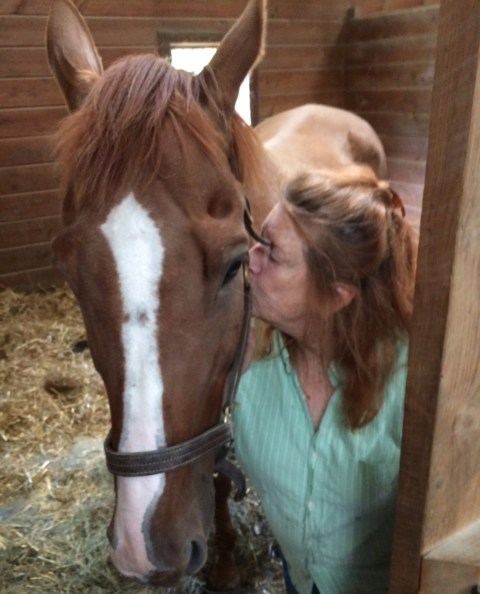 Old Friends At Cabin Creek On Twitter As She S Off To Ireland