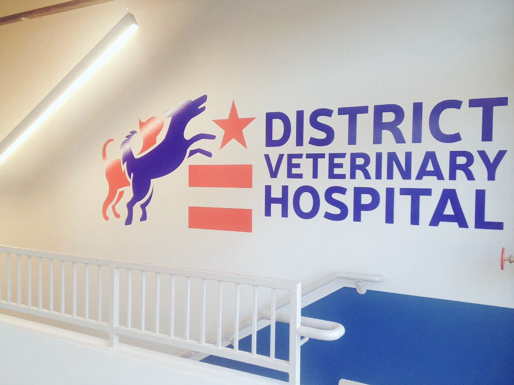 districtvet's tweet photo. Everyday is DC Flag Day at District Vet! @charlesallen #ward6 #DCFlagDay https://t.co/P0Lk4Hc29f
