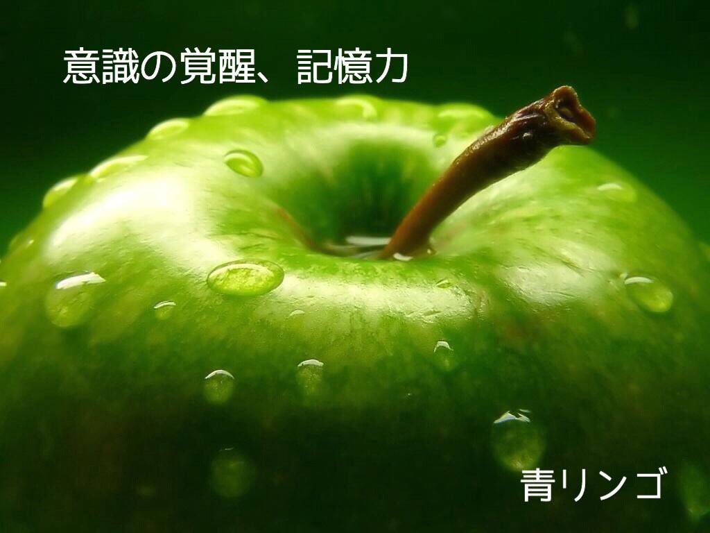 kitchenmarch's tweet photo. 【本日のアロマ】青りんご。香りはイメージ通りの、フレッシュでフルーティーな親しみやすい香りです。精神疲労・記憶力の減退・瞬間的に集中力を高めてくれます。会議や勉強、商談の時などビジネスシーンにも。
#梅雨 #消臭 #空気清浄 #殺菌 #カビ対策 #精油 #dropla  #アロマ  #精油 https://t.co/VhYBSsm7FY