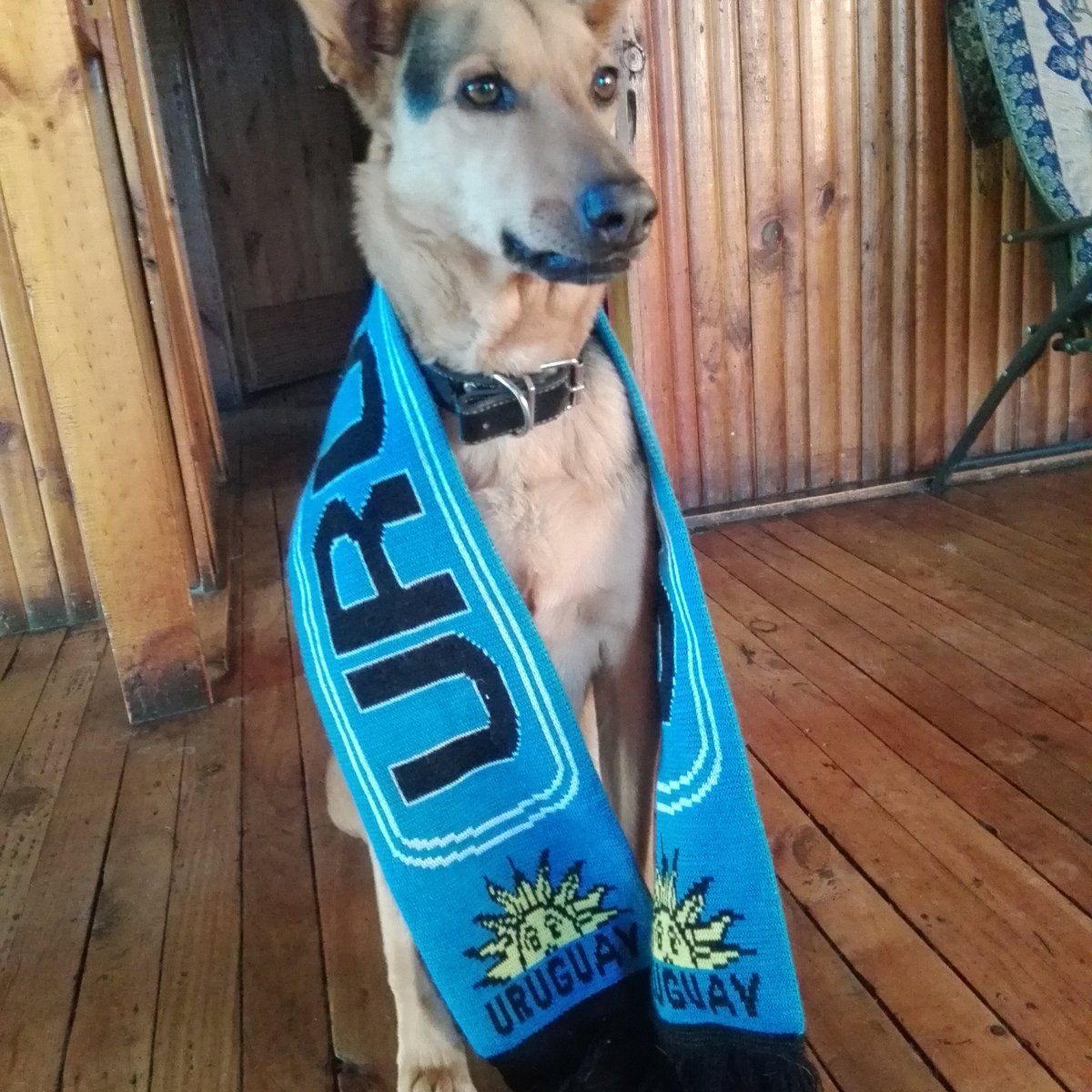 CabreDuarte's tweet photo. DESDE CHILE ALENTANDO LA CELESTE COMO BUENOS COMPATRIOTAS!!!!! @dgviera33 @TelemundoUY @TelenocheUy https://t.co/XCO5QSjuUd