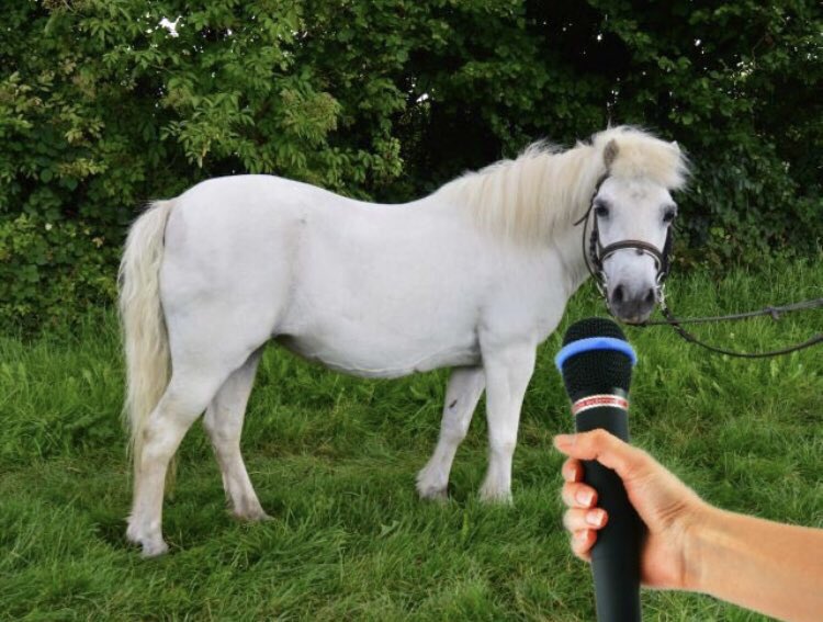 -Angelito entonces este año les ponemos 3 libros de lectura, que se les ve poco agobiaos a los chavales
+Pony puta idea Elena, decidelo tu que pa eso te pago