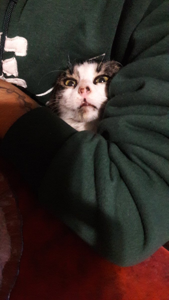 BeluRapetti's tweet photo. Cuando me enteré que tenías Twitter 😱 @rapetti_iona https://t.co/WDrqinv4d2