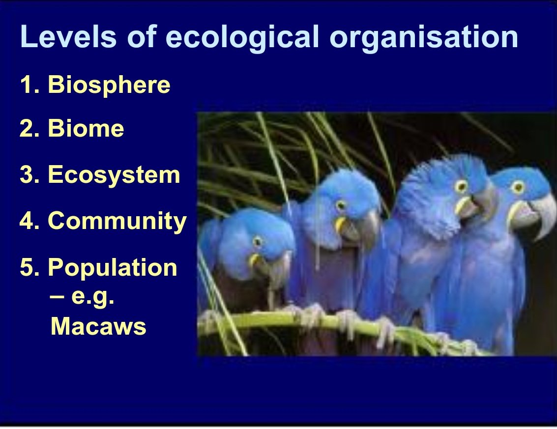 the maximal subgroups of the low dimensional finite