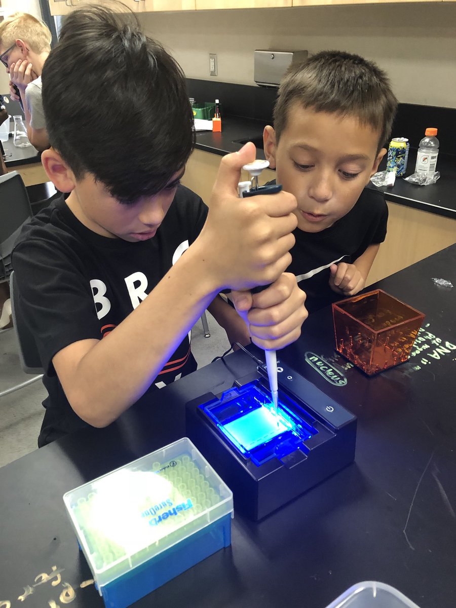 Day 4 of the Eastside Biomed Summer camp for 6-8th grade students.  Today he students took on a forensics lab using <a href="/MiniOneSystem/">MiniOne® Systems</a> equipment.  Such a great opportunity for these young students to do DNA fingerprinting and running gel electrophoresis.  Easy and fun! #STEMCamps