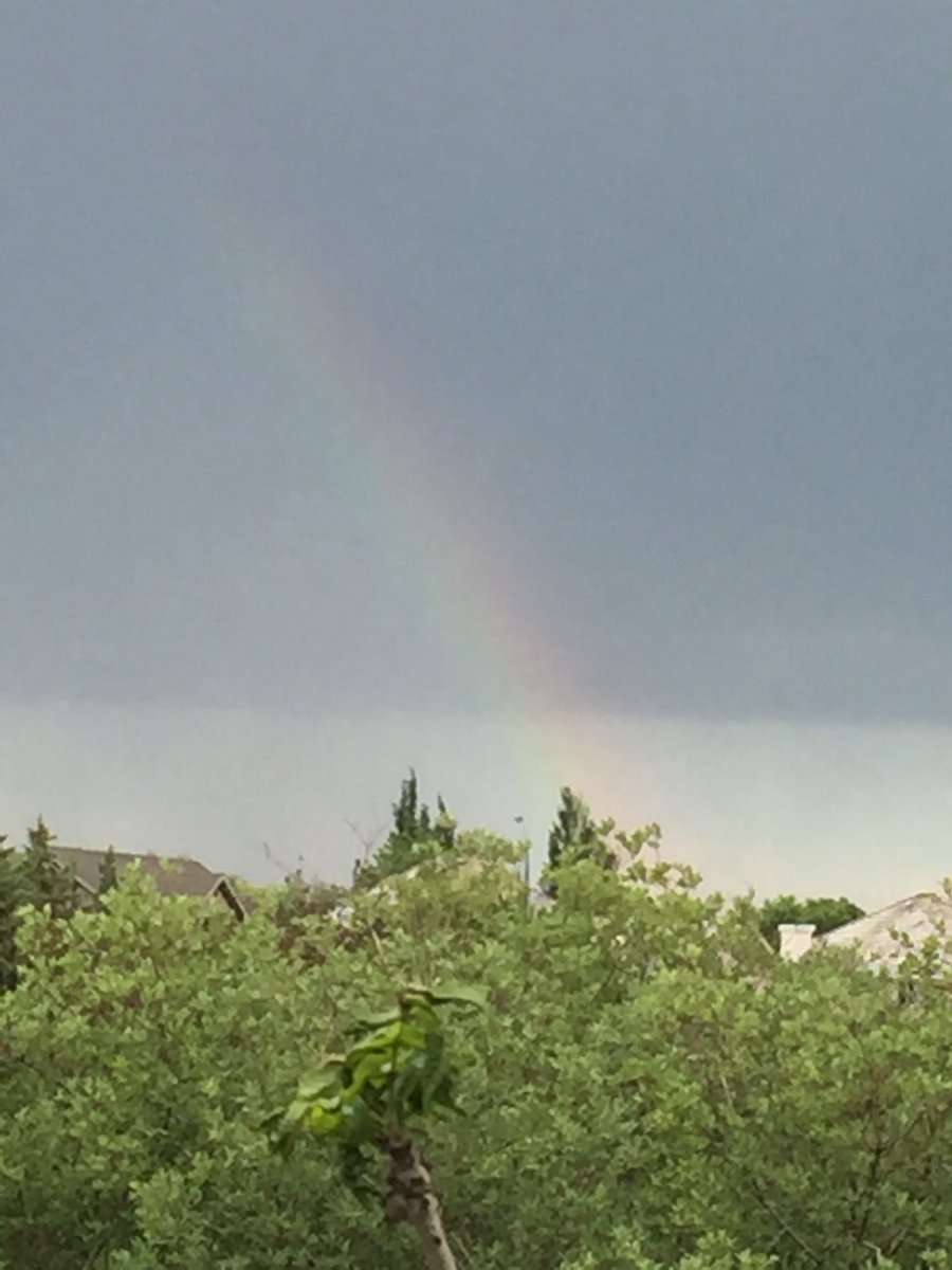 BevDubois's tweet photo. #rainbow #outsidenow #yxe #ward9yxe π§ββπ¦ https://t.co/gpGkXSif4O