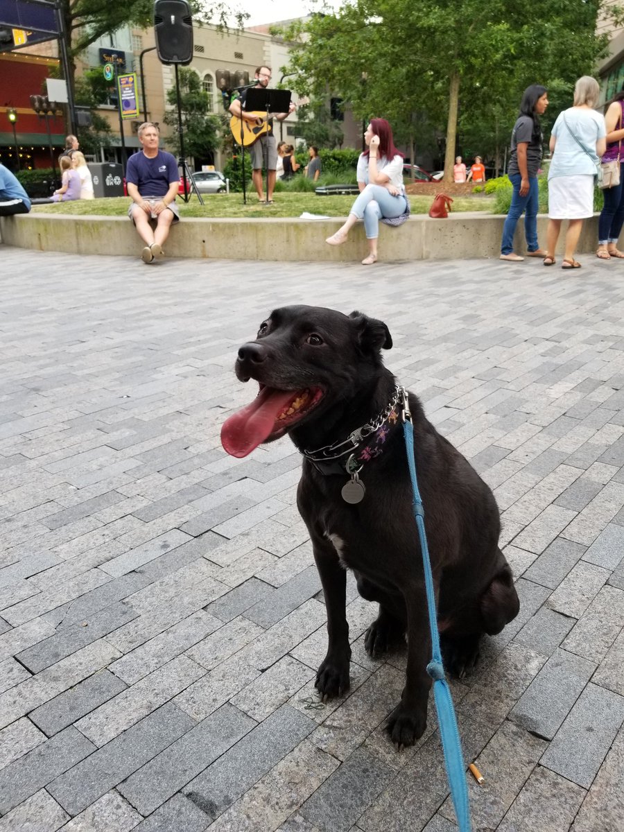 EricaAlisse's tweet photo. Garcia's first political event, I think he liked it! #activistinthemaking #FamiliesBelongTogether https://t.co/GXGpTGpAwM