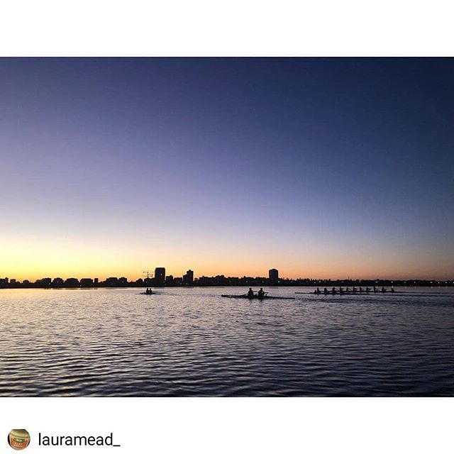 uwaboatclub's tweet photo. Beaut morning on the water for the open squads!
#uwabc #uwarowing #uwasport #uwastudents #rowing #rowingwa #100yearsafloat #yeahthegirls #yeahtheboys #Repost @lauramead_
β’ β’ β’ β’ β’
Mmmmm how bout it π£πΌββοΈ @uwaboatclub @rowing_wa https://t.co/1wNrhBDCX0