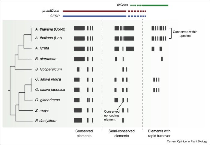 epub conservation of living