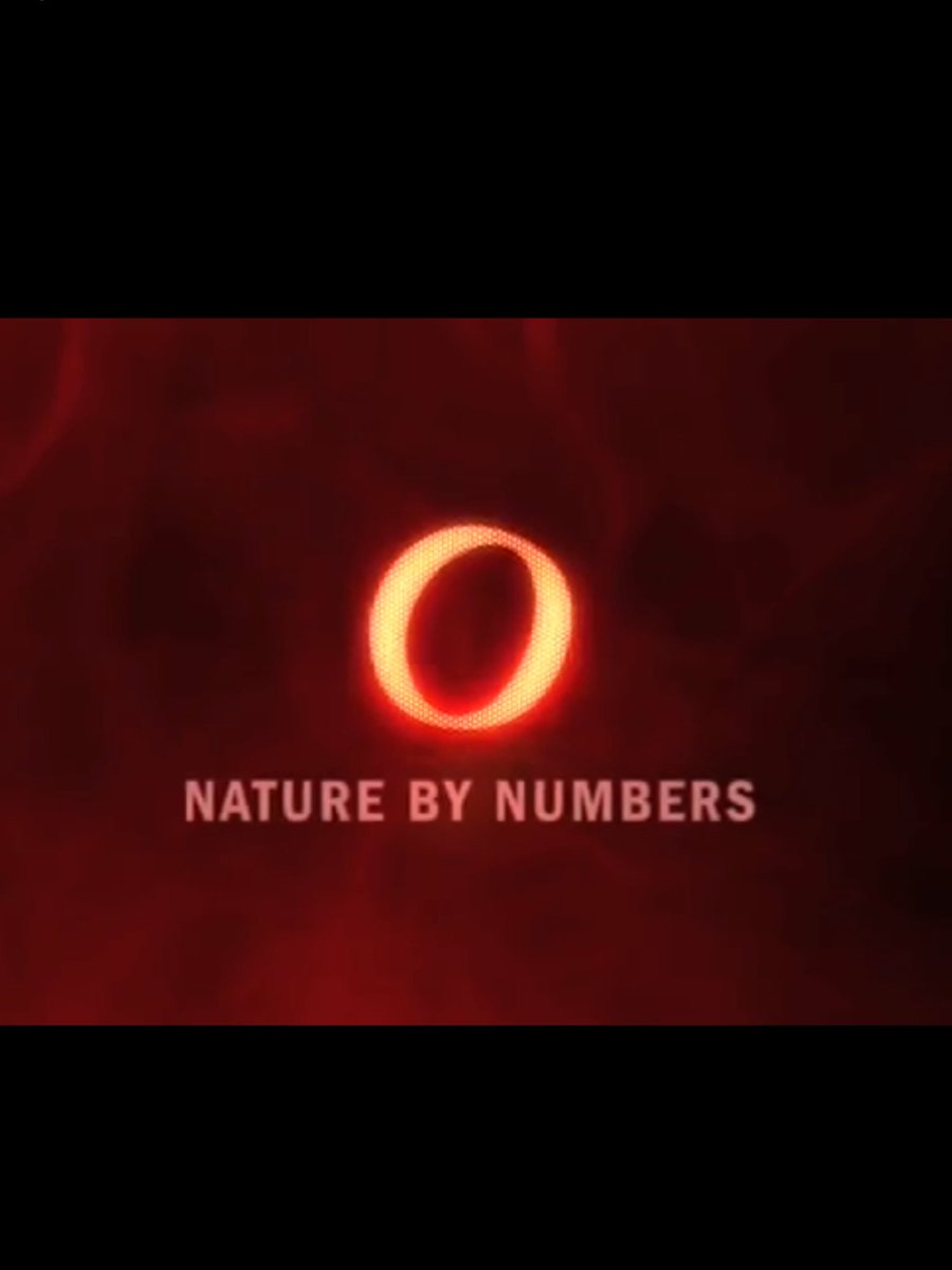 imsmrsbell's tweet photo. Most favorite YouTube video - Nature by Numbers by Cristobal Vila. Math inspiring, beautiful! All time favorite! #ITeachMath  @IMS_Knights #1Team1Vision https://t.co/ipl4JJY1IW