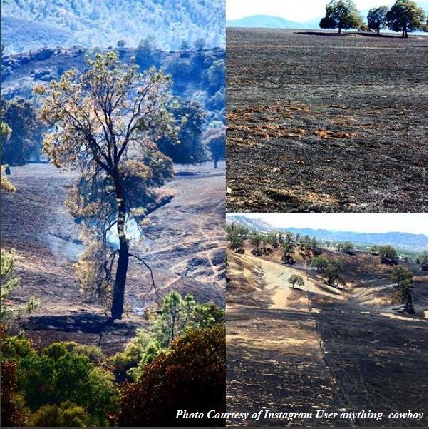 CAL_FIRE's tweet photo. #ChromeFire [update] off Hwy 162 and Forest Hwy 7, north of Elk Creek (Glenn County) is now 2,290 acres and 93% contained. https://t.co/R8qe1aJiQA https://t.co/jX5RhSFIRM