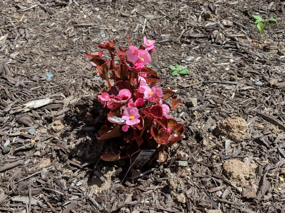 Katie Kaminsky tweet media