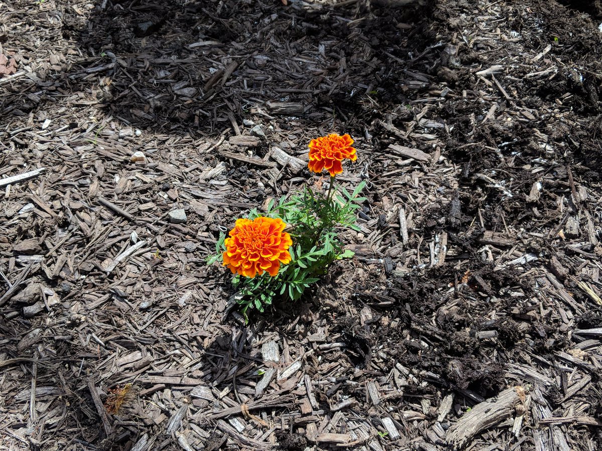 Katie Kaminsky tweet media