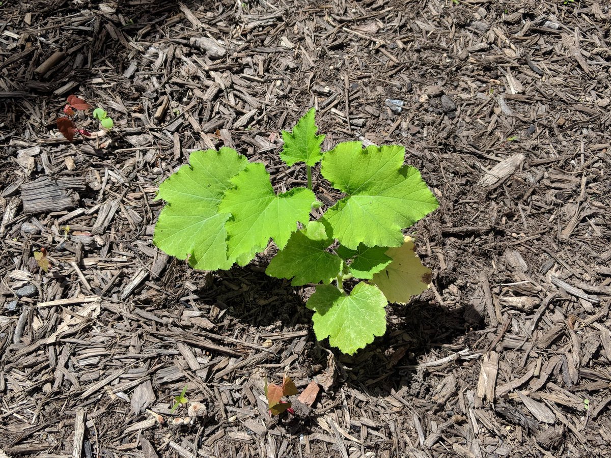 Katie Kaminsky tweet media