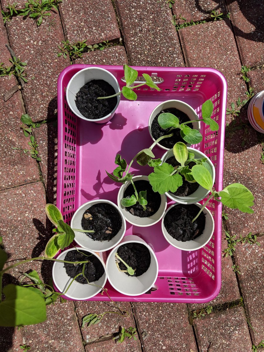 Katie Kaminsky tweet media