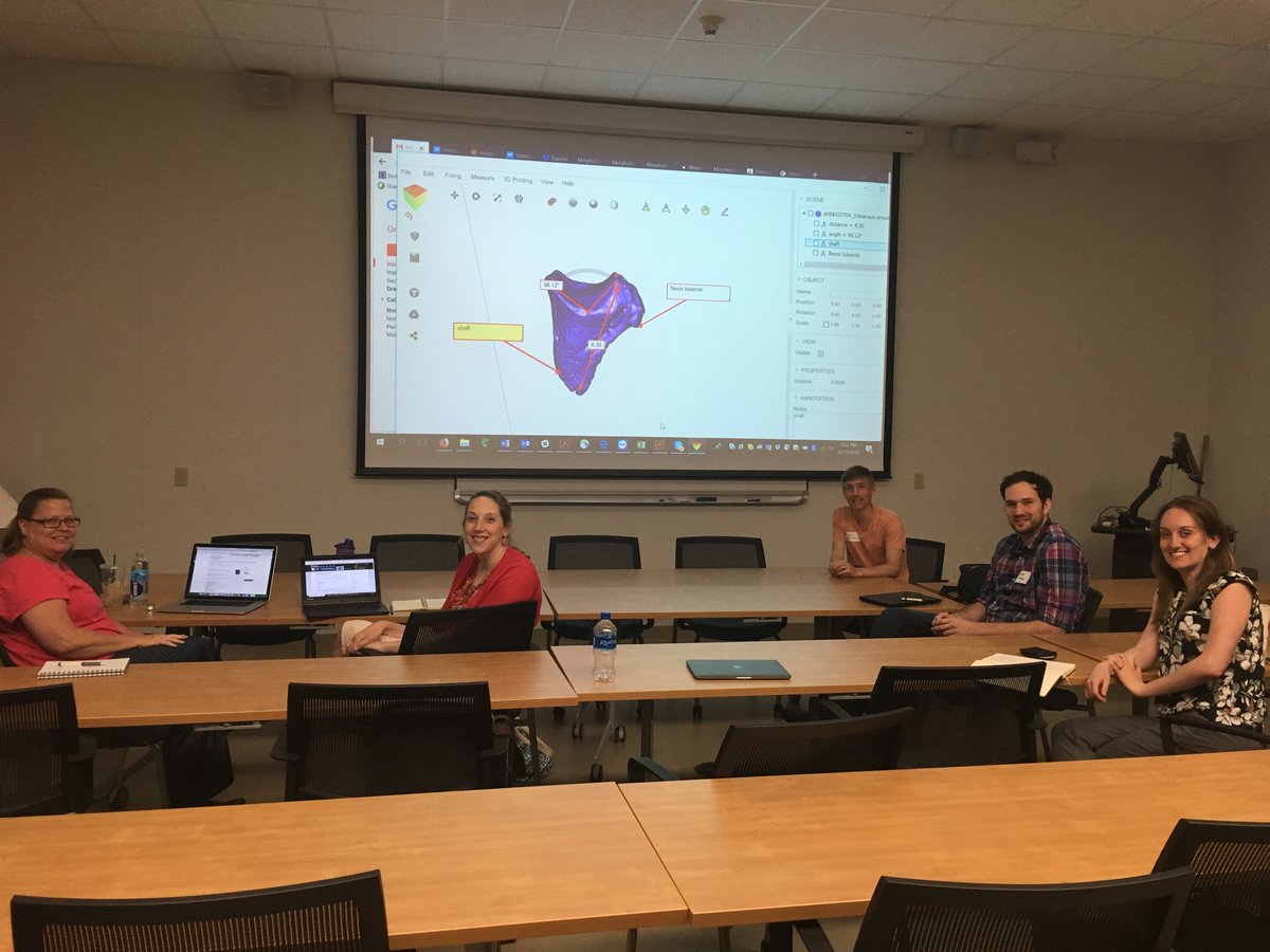 MorphoSource's tweet photo. The @MorphoSource and @pennstateCSATS laid groundwork for collaborating with #oVertTCN to support educators using datasets found in @MorphoSource. Teacher workshops aligned to #NGSSstandards coming in 2019! #STEMresearch2k12. Thanks also to @paleoteach @claugrant https://t.co/kP4tlStt0T