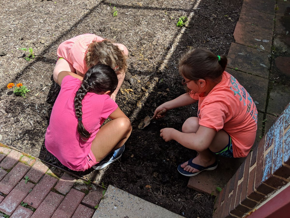 Katie Kaminsky tweet media