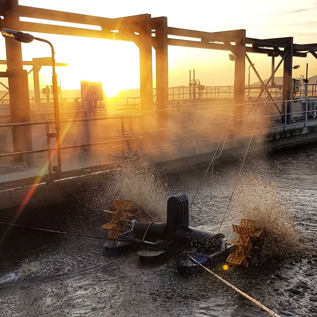 TopSnapTSV's tweet photo. I'm not usually one for shit stirring, but this has to be the most beautiful shit stirring I've ever seen 😂 This machine is used to keep the top layer of the poo from solidifying so that the layers underneath can be oxidized https://t.co/jBvnspwQZQ