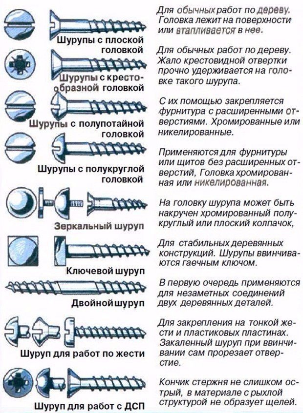 типы шурупов и саморезов