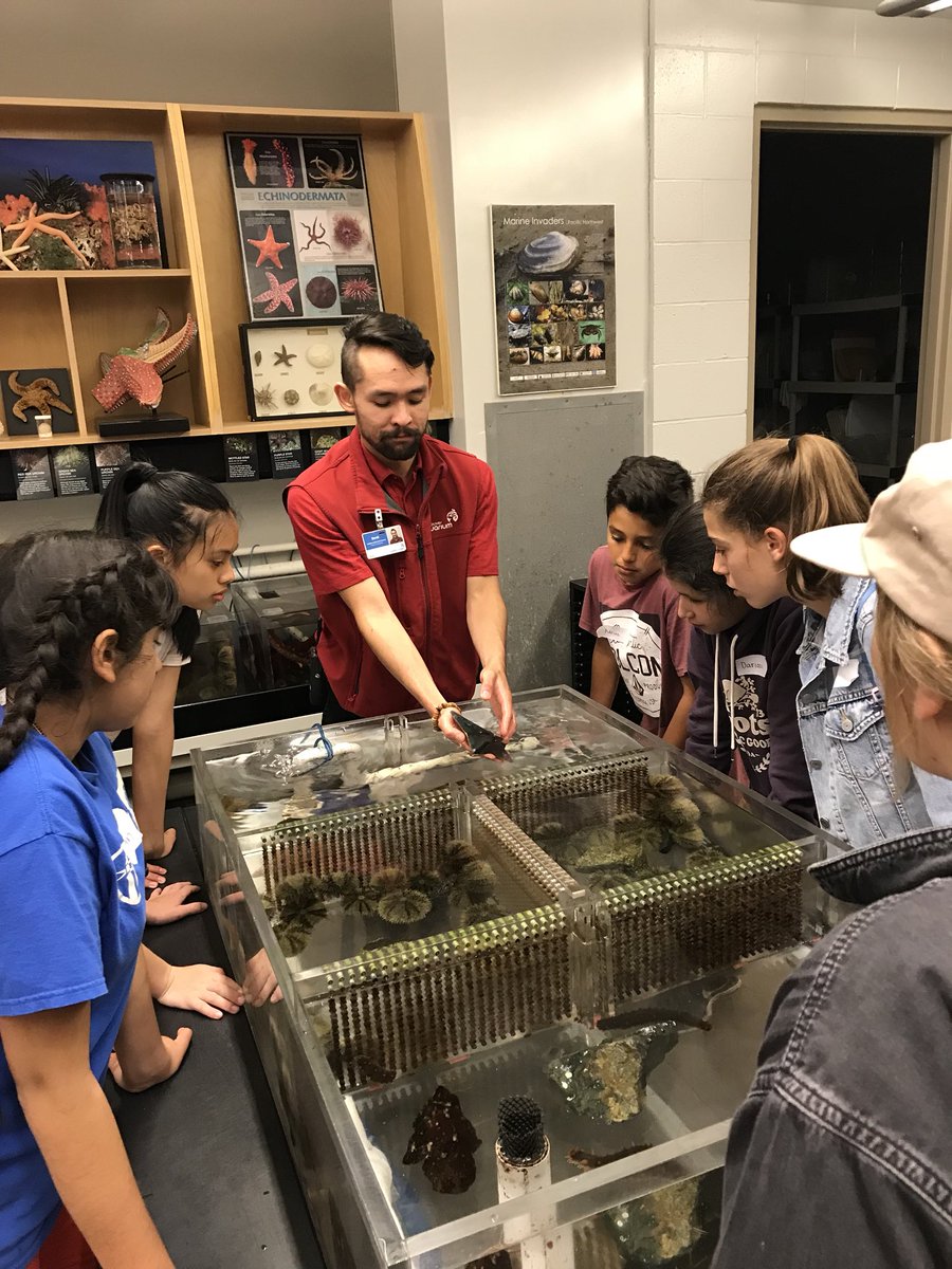 emklause's tweet photo. Sleepover at the aquarium!!! 🐠🐙🦀@EcoleCedardale https://t.co/d6qVRvDLZb