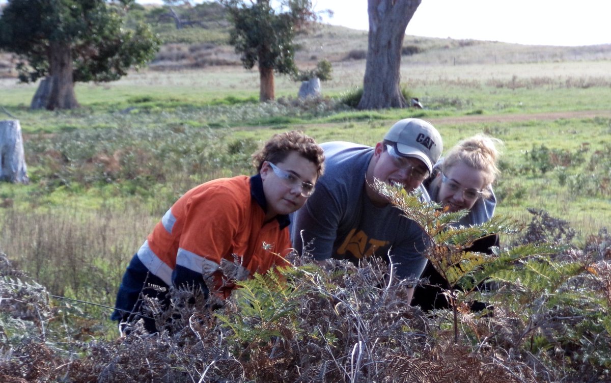 IndigLandSea's tweet photo. Give a big welcome to our latest school based apprentices starting at Murrayfield Station, Bruny Island Tas. The students,who are Traditional Owners of Murrayfield, will be studying Cert II &amp; III in Agriculture &amp; gain on the job skills on the Station, while completing yr 11 &amp; 12. https://t.co/bdUb4pptPX