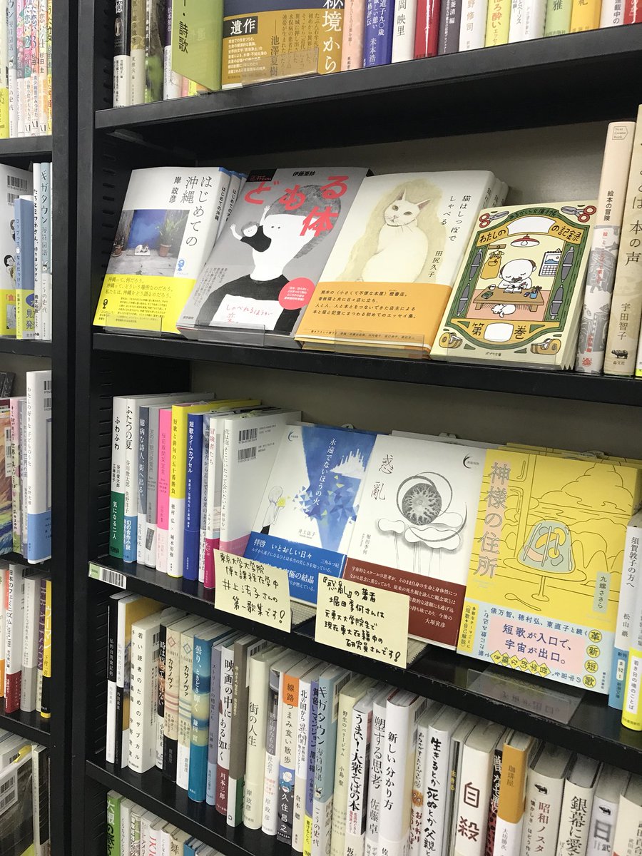 東京大学生協本郷書籍部さん 九螺ささらさん 神様の住所 を面陳展開いただいています 書肆侃侃房さん 新鋭短歌 2点との並び 上段には田尻久子さん 猫はしっぽでしゃべる 伊藤亜紗さん どもる体 岸政彦さん はじめての沖縄 と注目タイトルが凝縮した棚 東京大学生協本郷書籍部さん 九螺ささらさん 神様の住所 を面陳展開いただいています 書肆侃侃房さん 新鋭短歌 2点との並び 上段には田尻久子さん 猫はしっぽでしゃべる 伊藤亜紗さん どもる体 岸政彦さん はじめての沖縄 と注目タイトルが凝縮した棚