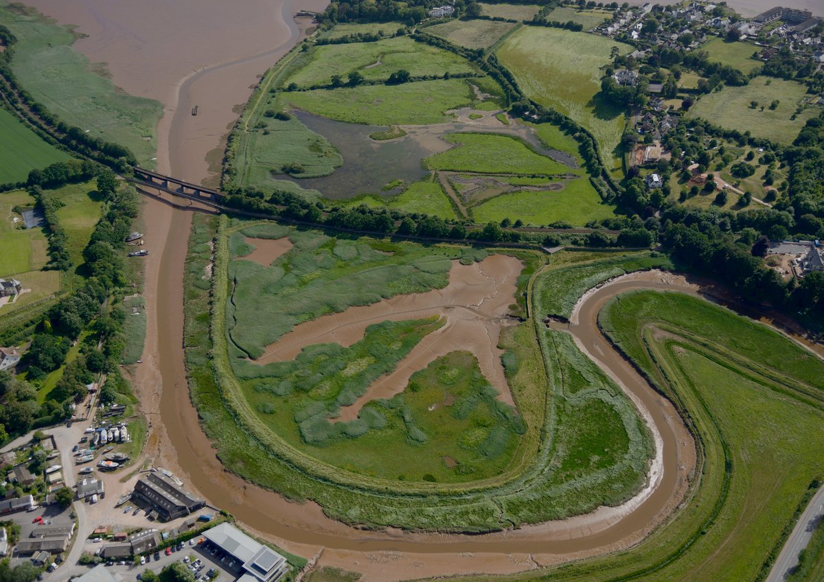 Chris Mills tweet media