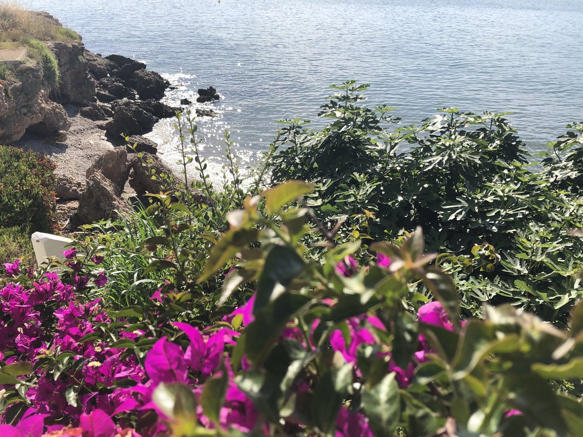 MyriamCarrel's tweet photo. ¡Feliz viernes amig@s! Amanecer hoy en nuestra cala.. ^^ la que miraba cuando eras un sueño y la 1ª que vieron tus 👀 @NaishaIngles #LaPeliDeMiSueño Aprovechad cada minuto #SoloConPasión https://t.co/ePvG7Kmbqz
