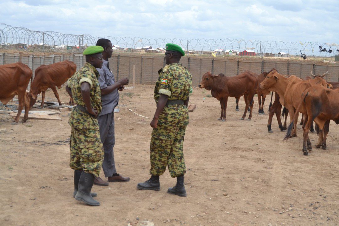 Ikiriho's tweet photo. Autre signe démonstratif d’une bonne collaboration entre les militaires burundais et la population somalienne, le @MdnacBi rappelle qu’en 2017 lors de l' #EïdElFitr ou "fête de sacrifice", la population de #Middle_Shabelle a offert 10 vaches au contingent du #Burundi https://t.co/enZwAPuOIt