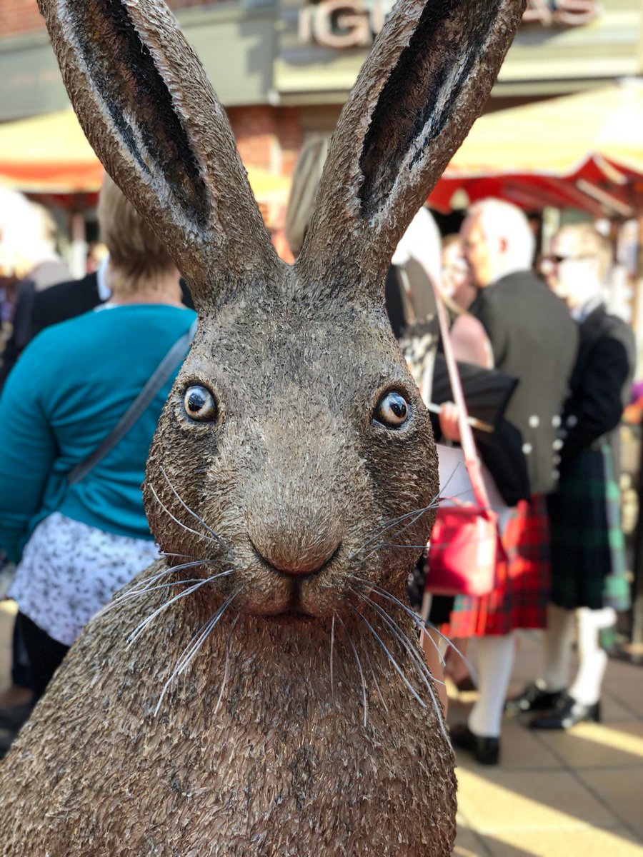 GoGoZest2018's tweet image. From the River Nile to Riverside Norwich, what a fantastic premi-hare launch event for #GGH18! Was fantastic to meet you all! 😘😁 @GoGoHares2018 @break_charity
