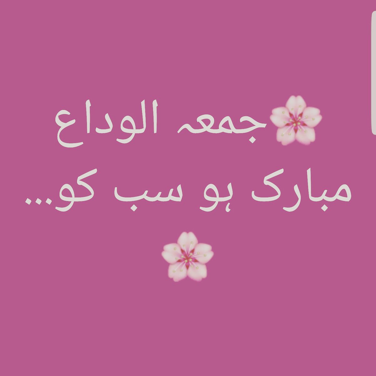 Mat_labii's tweet photo. https://t.co/juRgvL2DBK