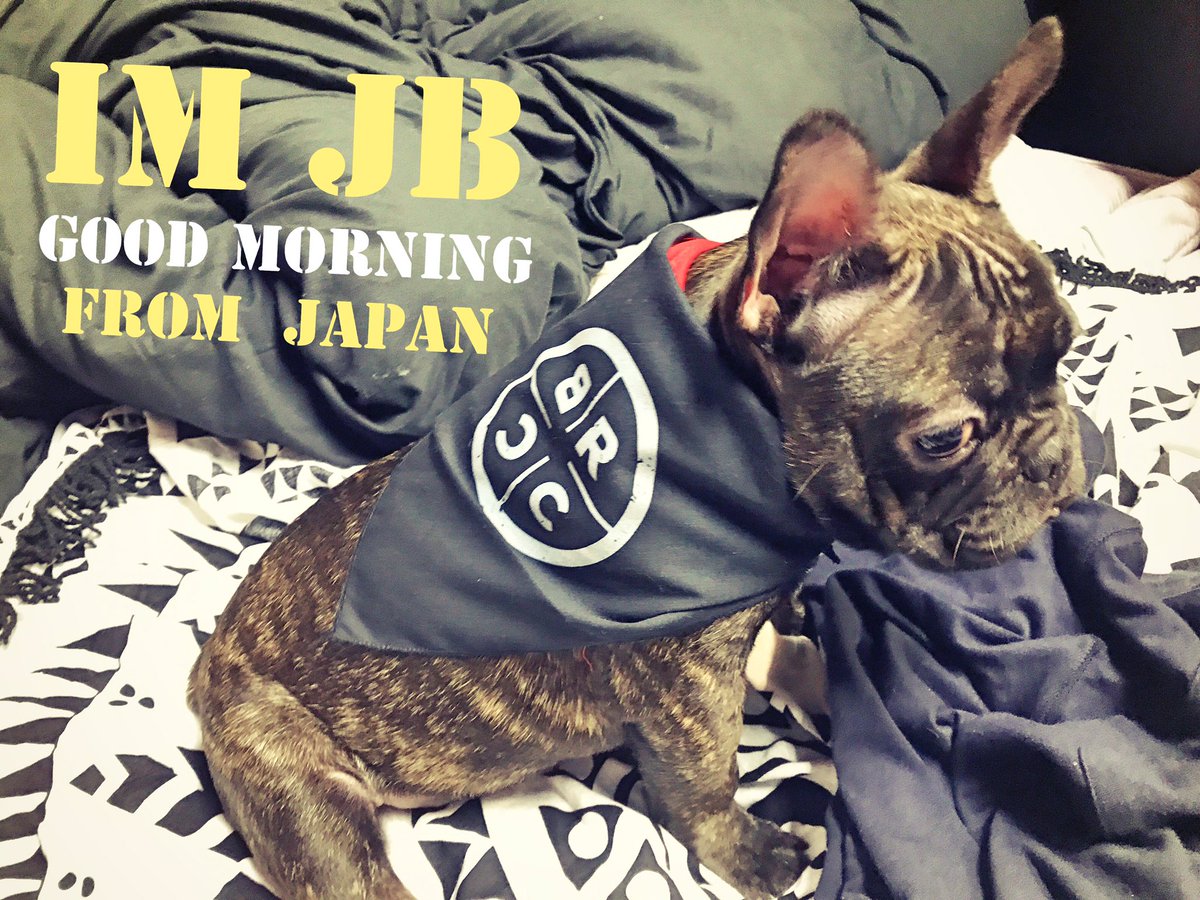 good morning!! I am JB, from  japan,kyoto.

#ミリタリーギアM4
#blackriflecoffee
#brcc 
#blackriflecoffeecompany
#シューティングバーM4看板犬