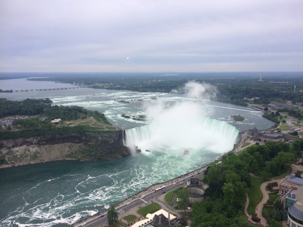 louise_bojko's tweet photo. Fifth week of internship in Toronto, this is what I do on my free time. Glad to be here. https://t.co/oeAgtolUtp