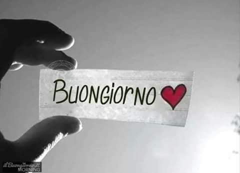 lisbeth_5066's tweet photo. Per #ParlareDi noi, #SiDovrebbe ritornare a come ci siamo inncotrati da queste parti,uniti da lui, #perDare ogni giorno un nuovo sapore al nostro risveglio.
@UnTemaAlGiorno @matitesbagliate @Hope84S @Davidone74
@Lorenzo60952594 @Labellapassante @unalucediluna @mata50113 https://t.co/PA5x7Xepg3