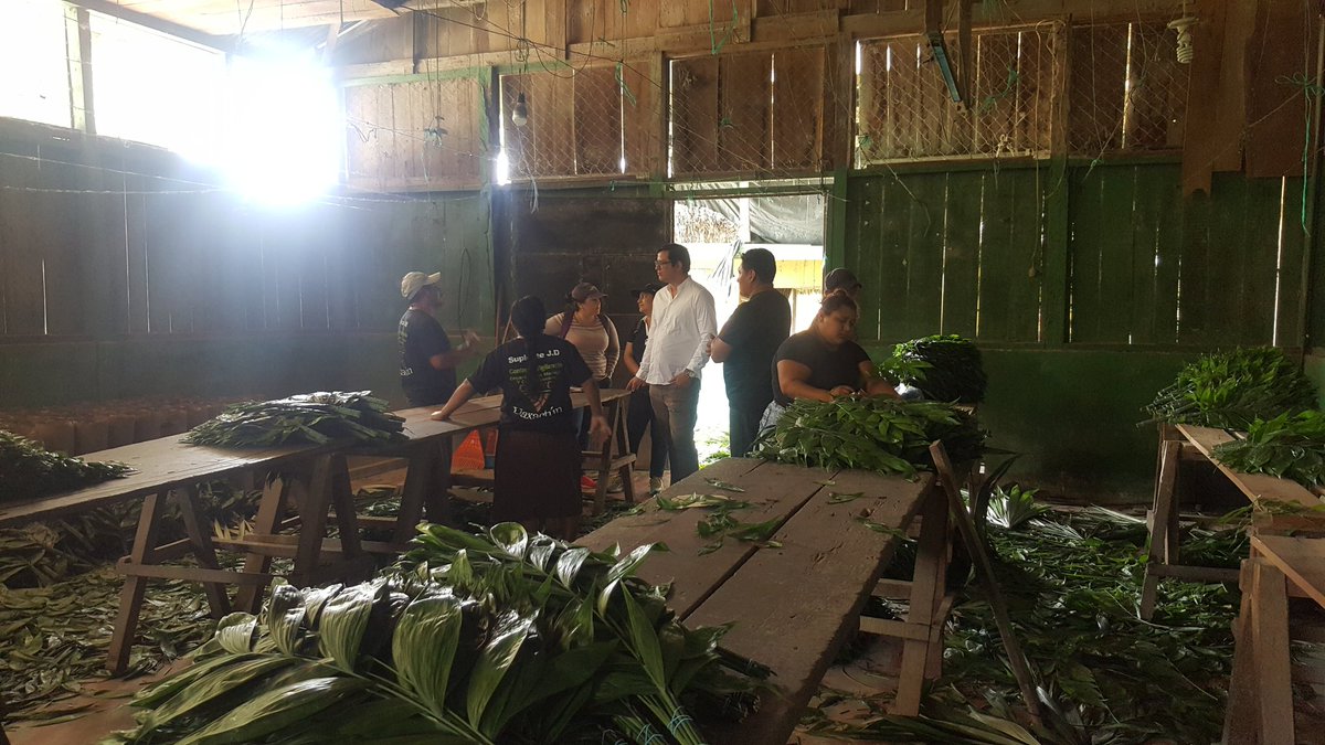welder_ramirez's tweet photo. Intercambios de experiencias vivieron en la comunidad de Uaxactun personas visitantes del pais de Nicaragua. https://t.co/Ixm9HUVy7M