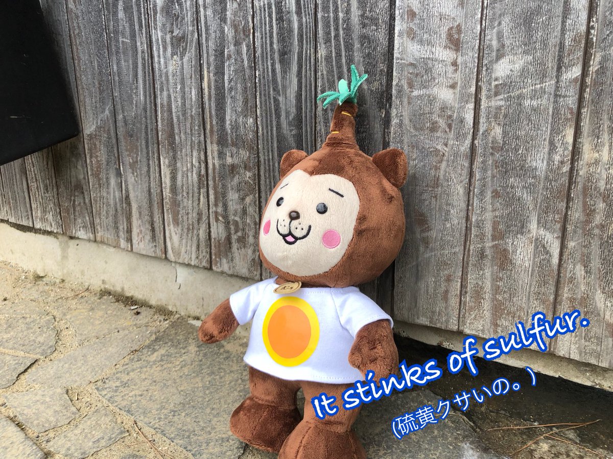 Roughtice ラフティス ただいま下記の所で むぅちゃんぬいぐるみにファブリーズ を掛け 乾燥し終えました ほぼ脱臭出来て ホッとしました ファブリーズ みやざき犬