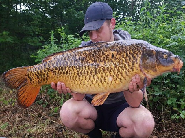 BigFishBaits's tweet photo. Just a few fish from Leighton Renouf-Rialwho has been having some great results on the #Squilberry and matching #PopUps https://t.co/Ie85cUo0IN